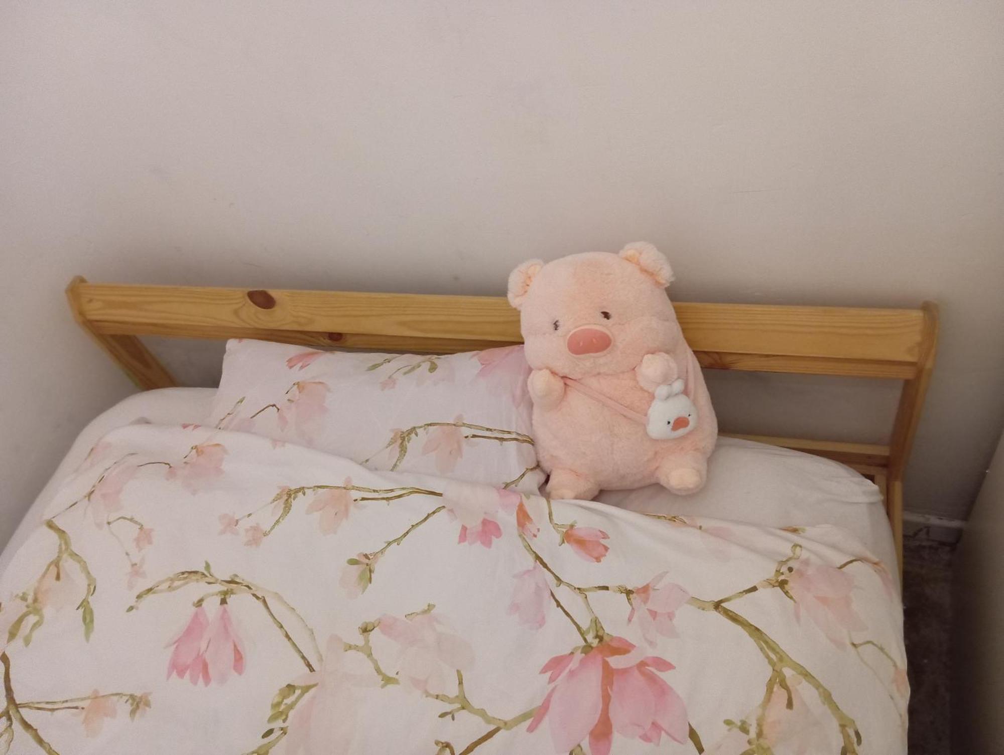 B&B Eco Cubes Мадрид Екстериор снимка